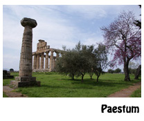 galerie paestum